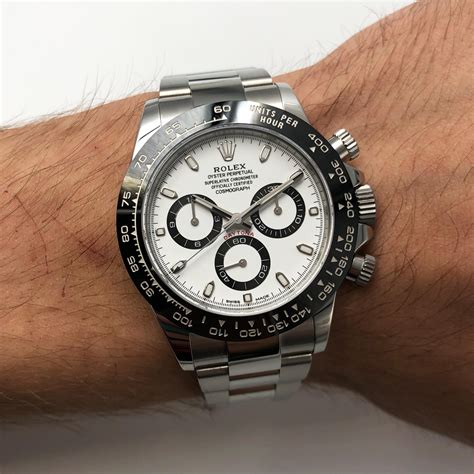 rolex panda on wrist|rolex panda for sale.